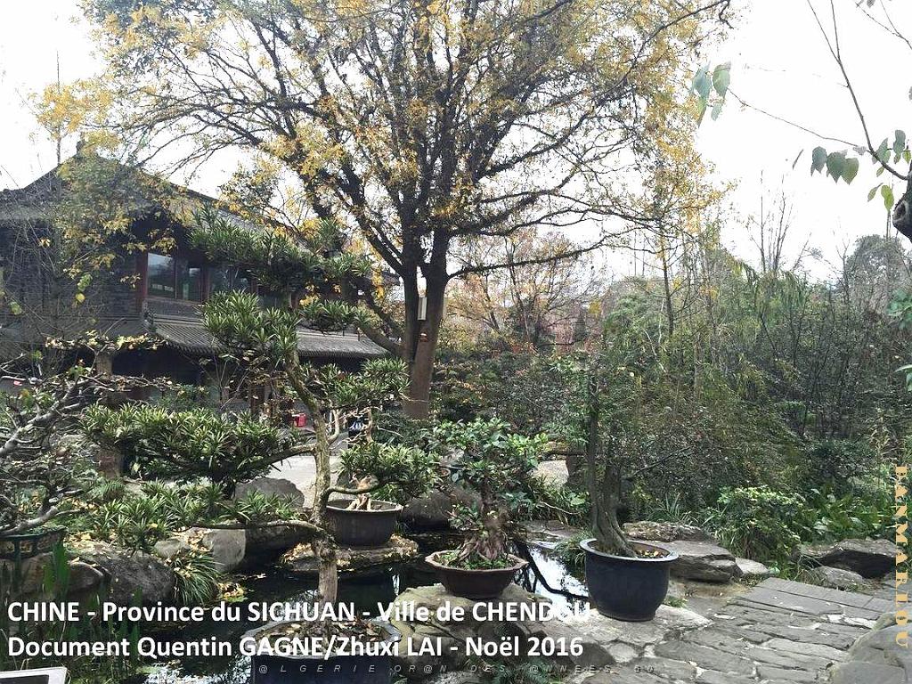 Chendgu 008.JPG
